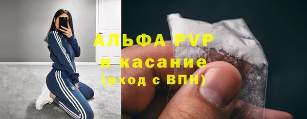 гашик Белокуриха