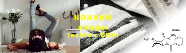 гашик Белокуриха