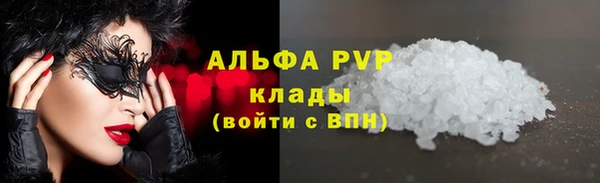 гашик Белокуриха