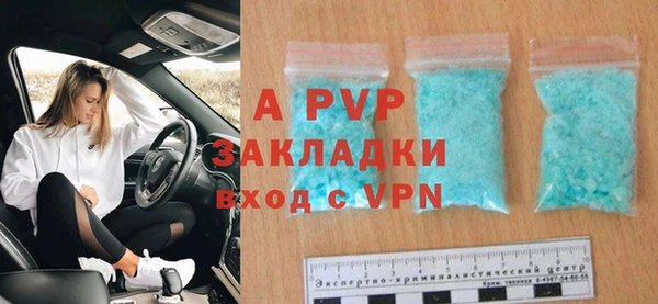 гашик Белокуриха
