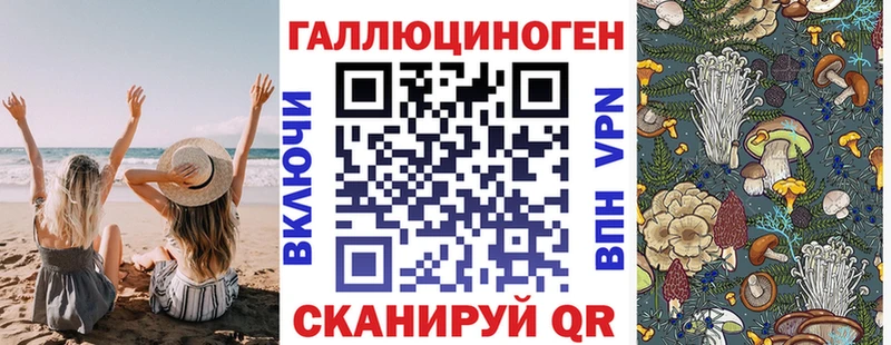 Псилоцибиновые грибы Psilocybine cubensis  как найти закладки  Красноармейск 
